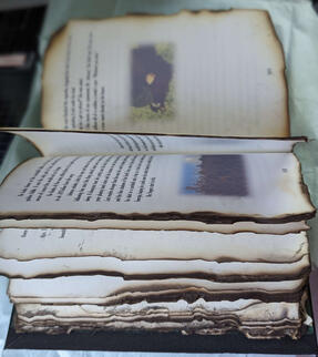 The Devil Went Down...