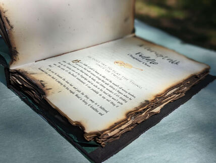 The Devil Went Down...